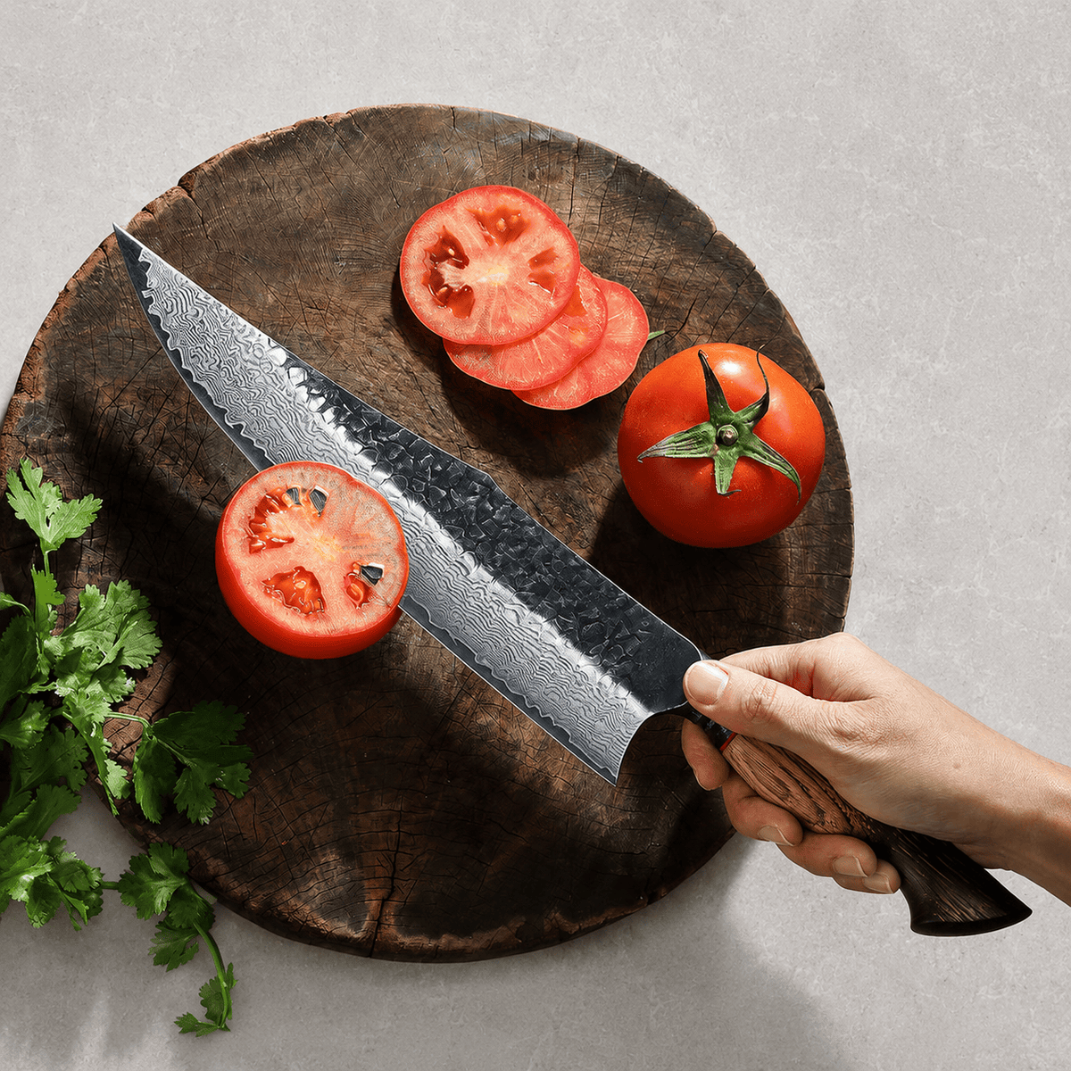 Meito Knives Kogarashi - Chef Knife Damascus 10"